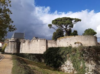 Trail Walking Clisson - Clisson - Photo