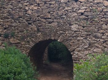 Tocht Stappen Le Castellet - chapelle ste Anne b de Castillon - Photo