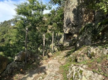 Tour sport Pranles - Volcan des Chirouses - Azur - Photo