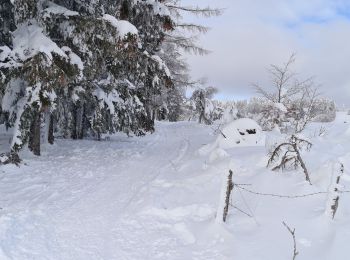 Tour Nordic Walking La Tour-d'Auvergne - 04/01/2021 l'asthme (63) - Photo