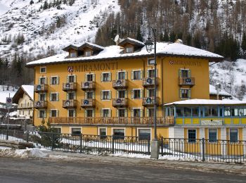 Randonnée A pied La Thuile - (SI F06) La Thuile - Rifugio Elisabetta - Photo