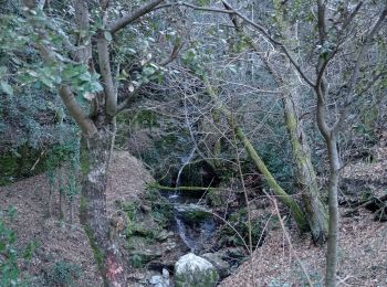 Tocht Stappen Saint-Privat-de-Vallongue - 48 le pont de champermal  le 06/02/25 - Photo