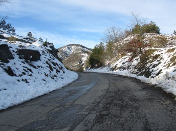 Trail On foot Verghereto - IT-141 - Photo