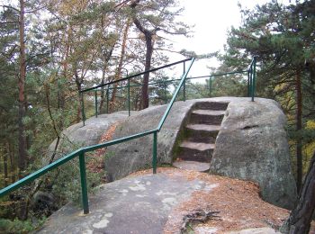 Tocht Te voet Koberovy - CZ-Chléviště - Photo