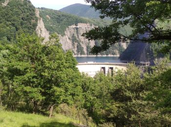 Excursión Bici de montaña Vif - barrage monteynard  - Photo