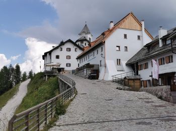 Trail On foot Tarvisio - IT-617 - Photo