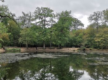 Percorso Marcia Poissy - GRP CV-IDF 2023 - Photo