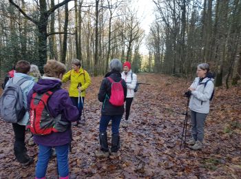 Trail Nordic walking Rouessé-Vassé - Fr Rouessé Vassé MR 18-01-2020  - Photo