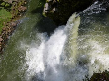 Percorso A piedi La Chaux-de-Fonds - La Chaux-de-Fonds - Saut du Doubs - Photo