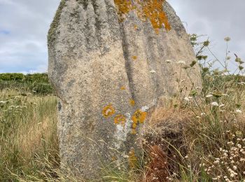 Trail Walking Trébeurden - Tour de l’île grande - Photo