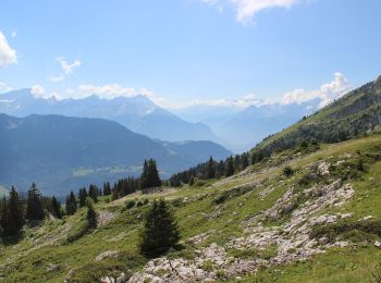 Randonnée A pied Leysin - Luan-Ai - Photo