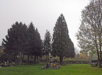 Percorso A piedi Děčín - [Ž] Velký Chlum - Boletice - Photo