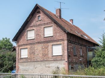 Excursión A pie Ober-Ramstadt - Rundwanderweg Ober-Ramstadt Am Heideacker 3: Gingelbach Weg - Photo