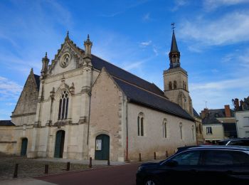 Excursión Senderismo Montlouis-sur-Loire - Montlouis-sur-Loire - Entre Loire et vignes GR3 GR655est - 17.4km 190m 3h55 - 2022 10 16 - Photo