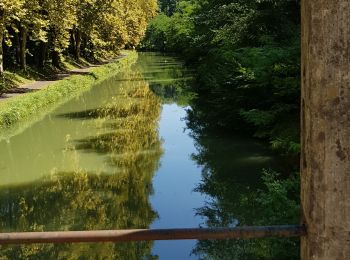 Tocht Stappen Castets et Castillon - castets en dorthe - Photo