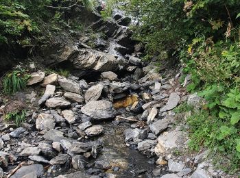 Tocht Stappen Cordon - circuit, le refuge, les benets - Photo