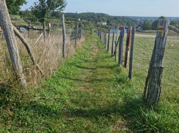 Tour Wandern Vendôme - Vendôme - Villiers-sur-Loir  - Photo