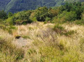 Tour Wandern Bagni di Lucca - Ponte a Gaio - Rifugio Cesentini - Belvedere - Photo