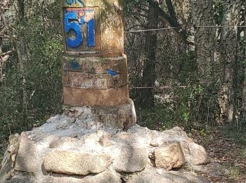 Excursión Senderismo Le Muy - roquebrune argens - Photo