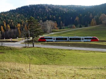 Tour Zu Fuß Gemeinde Puchberg am Schneeberg - Grünbacher Sattel - Lanzing - Ascher - Photo