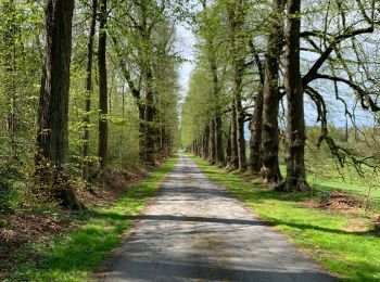 Randonnée Marche Ciney - Achene nouvelle balade - Photo