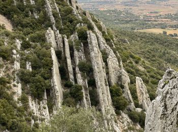 Trail Walking Puyloubier - Ste Victoire (pic des Mouches et brèche du clapier) - Photo