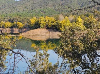 Randonnée Marche Bormes-les-Mimosas - TRAPAN.Retour par les 5 plages - AB- - Photo