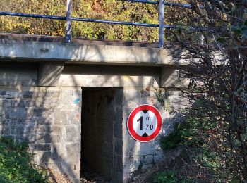 Percorso Mountainbike Yvoir - GODINNE ... balade de fin d'automne ! - Photo