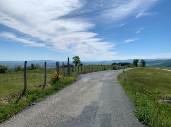 Tour Rennrad Saint-Germain-Nuelles - Valsonne - Photo