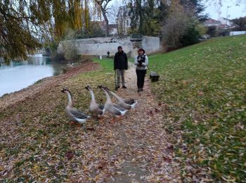 Trail Walking La Ferté-sous-Jouarre - Ferté sous Jouarre et la Meulière - Photo