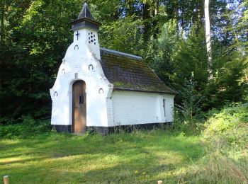 Tour Zu Fuß Chaumont-Gistoux - #181126 - Bonlez, Bois et réserve naturelle de l'Étoile *** - Photo