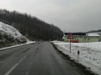 Excursión A pie  - Londžica - Paulinovac - Photo