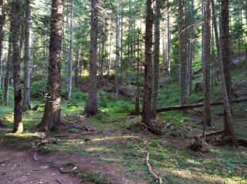 Trail Walking  - randonnée - Photo