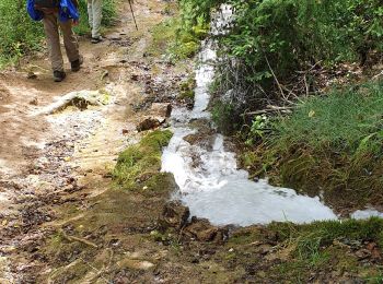 Trail Walking Signes -  Chibron le Latay  - Photo