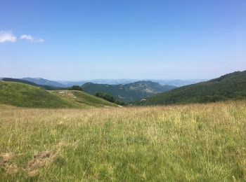 Trail Walking Lizzano in Belvedere - Poggiolforato-Dardagna Falls-Refugio Le Malghe-Madonna dell’Avero - Photo