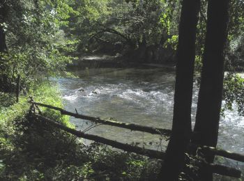 Excursión A pie Sasca Montană - Șopotu Nou – Cheile Nerei – Sasca Română (red stripe) - Photo