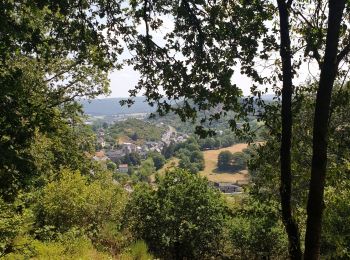 Randonnée Marche Viroinval - Mazée, sur le sentier des Douaniers - Photo