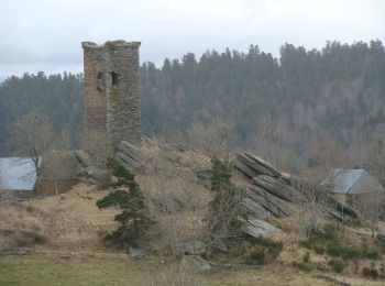 Excursión A pie Leyvaux - La Tour de Besse - Photo