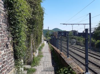 Tocht Stappen Luik - rando la plus bucolique sur les coteaux rive gauche de la meuse - Photo