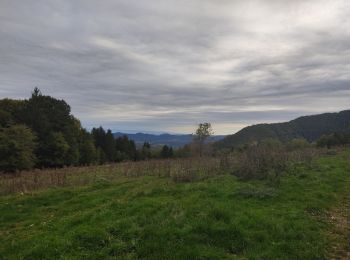 Trail Walking La Fajolle - La forêt de La Fajolle - Photo