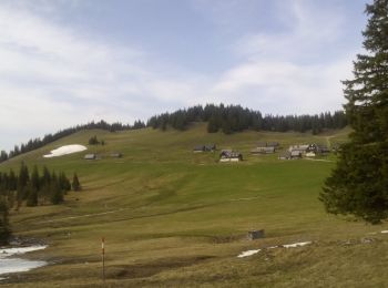 Randonnée A pied Gemeinde Neuberg an der Mürz - Scheiterboden-Hinteralm - Photo