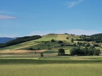 Trail On foot Foligno - Anello di Forcatura - Photo