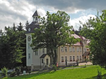 Percorso A piedi - Regionalny Szlak Serduszkowy - Photo