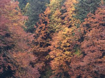 Trail Walking Laruns - Lac d’Arrious - Petit Arriel - Col de Sobe_Octobre 2022 - Photo