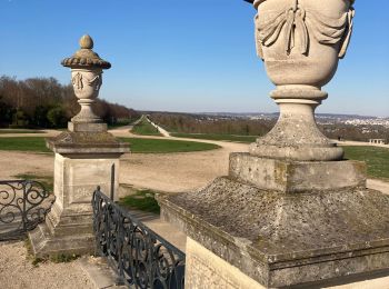 Trail Walking Saint-Germain-en-Laye - Terrasse st germain - Photo