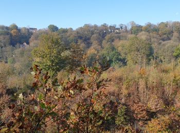 Trail Walking Ham-sur-Heure-Nalinnes - Du Pré al Roch au hameau l'Amérique - Photo