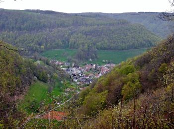 Percorso A piedi Lenningen - Oberlenningen - Krebsstein - Photo