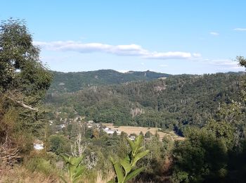 Tocht Stappen Champs-sur-Tarentaine-Marchal - La balade de Peyroux - Photo