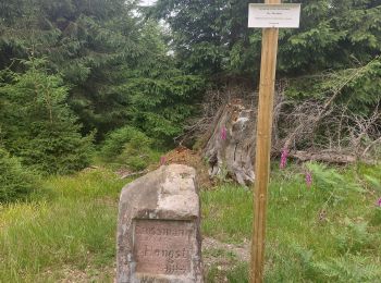 Randonnée Marche Walscheid - Elsassblick Col de la Sayotte - Photo