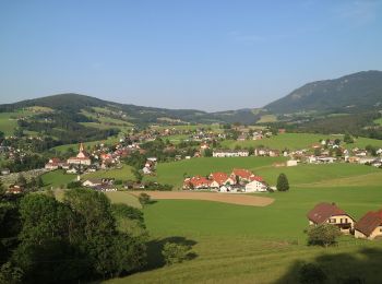 Tour Zu Fuß Semriach - R7 Tannebenwald-Rundweg - Photo